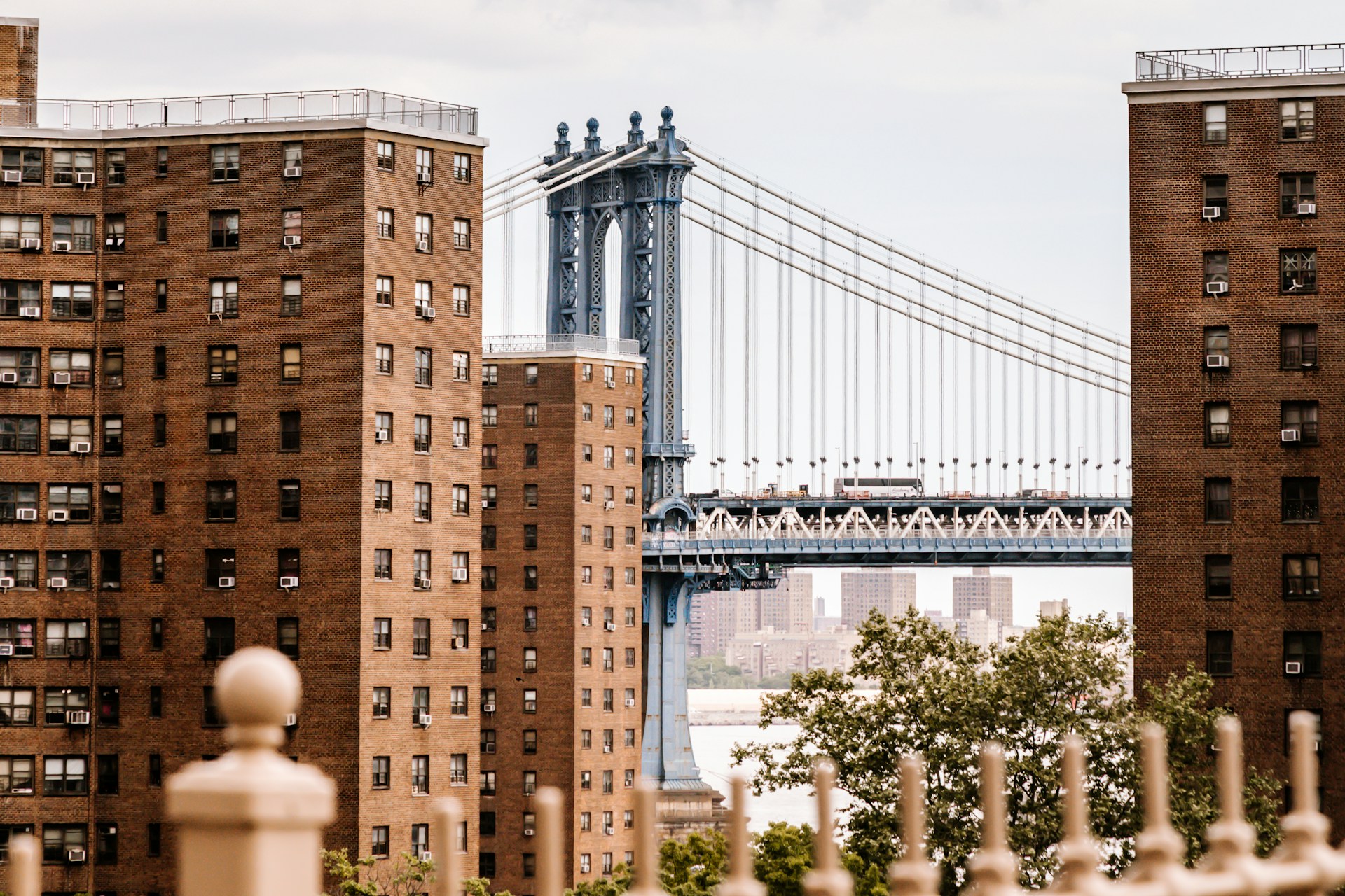 The Bronx